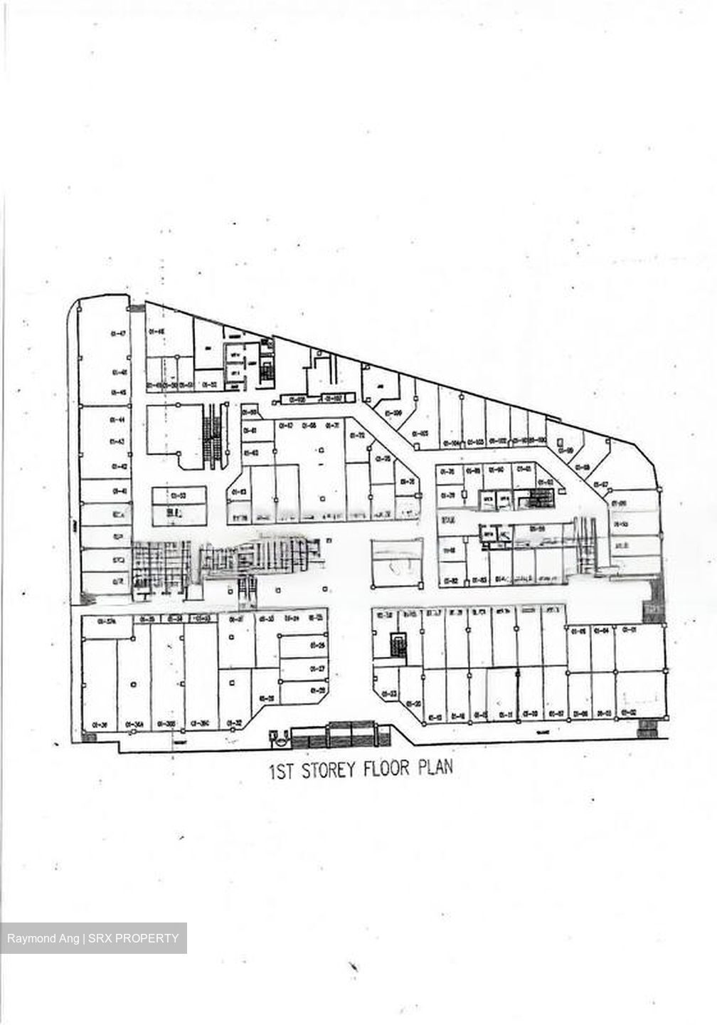 Lucky Plaza (D9), Shop House #490023741